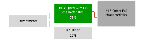 Proportion of investments: investments split into #1 Aligned with E/S characteristics, 75%, which covers #1B Other E/S characteristics, and #2 Other, 25%.