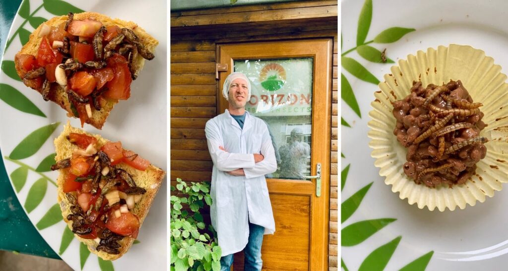 Chef and plates with food and bugs in it
