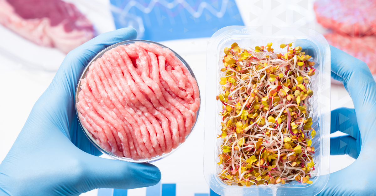 Photo of minced meat and sprouts